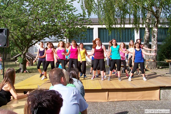 Schulfest 2014 (16)