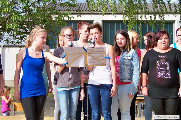 Schulfest 2014 (26)