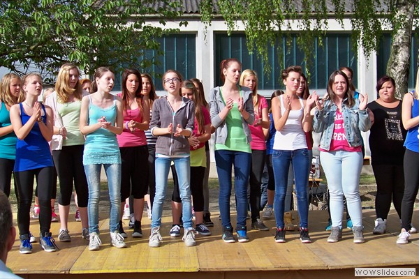 Schulfest 2014 (29)